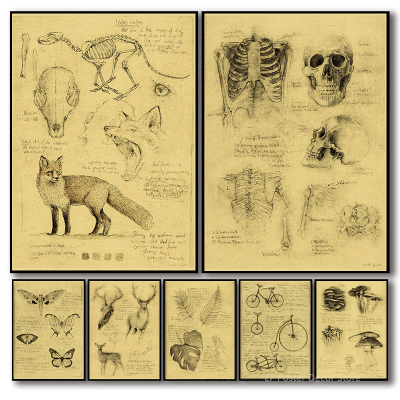 Old Sketch Studies Poster Vulp - Vintage Fashion Wallpaper ulasan dan harga